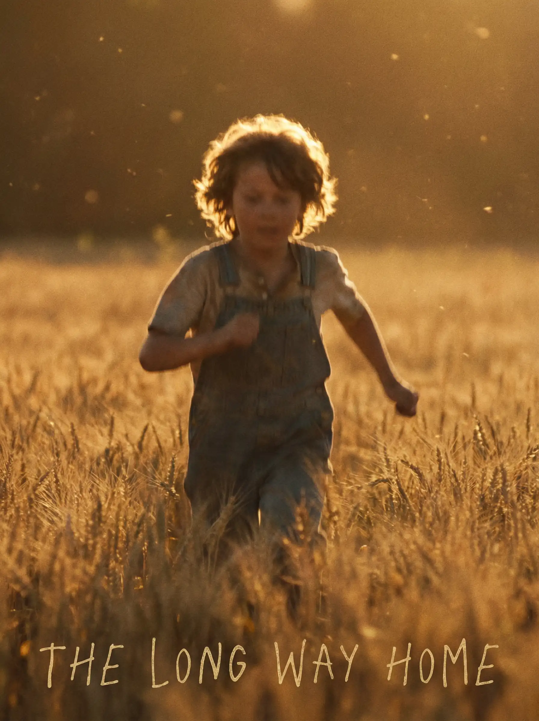 吃瓜群众 本周佳作 - 回家的路